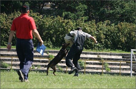 Sasha - Estonia championship 2007  in IPO 3